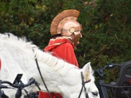 Sint-Maartenviering 2025